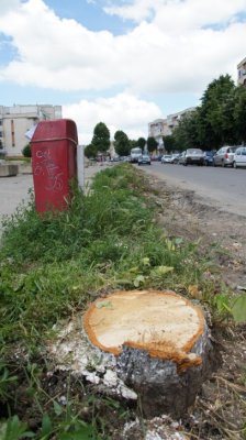 Imagini din sudul litoralului. Cum comentaţi?